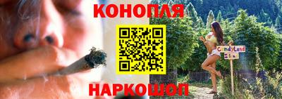 крисы Рыбинск