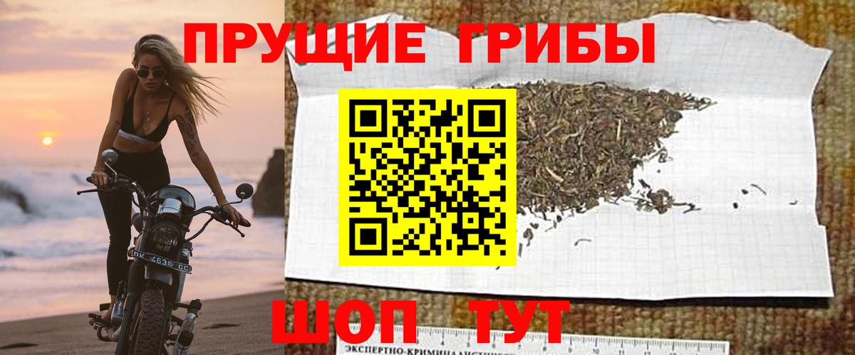 Рузаевка  Псилоцибиновые грибы Magic Shrooms  Вход с VPN 